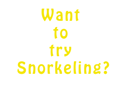 Want to try snorkeling?
