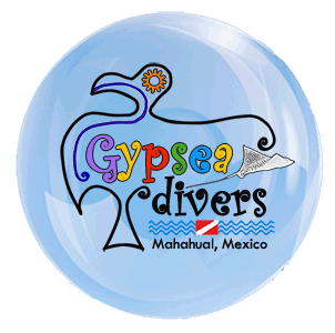 logo Gypsea Divers Diveshop Mahahual